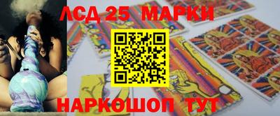 спиды Сланцы
