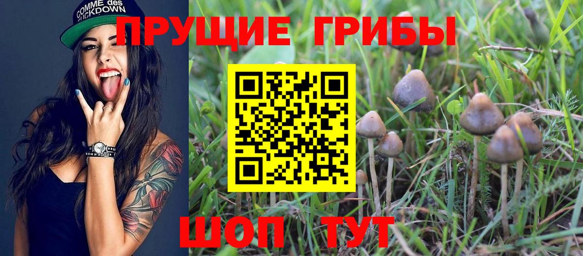 Псилоцибиновые грибы MAGIC MUSHROOMS  купить наркоту  Ростов-на-Дону  Вход с VPN 