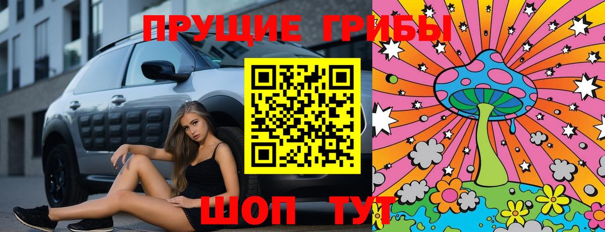 Псилоцибиновые грибы GOLDEN TEACHER Ростов-на-Дону