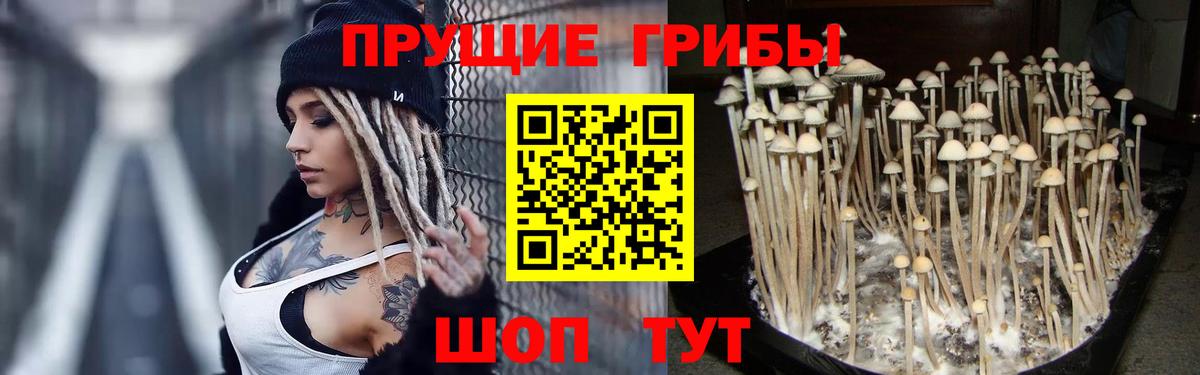 COCAIN  А ПВП СОЛЬ   Амфетамин   Конопля  Как найти закладки?  Ростов-на-Дону  ГАШ  Мефедрон кристаллы  ГАШ  Вход с VPN 